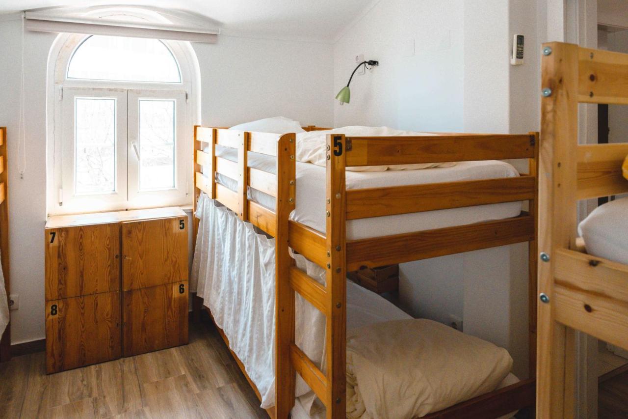 Bunk Bed Mixed Dormitory Room