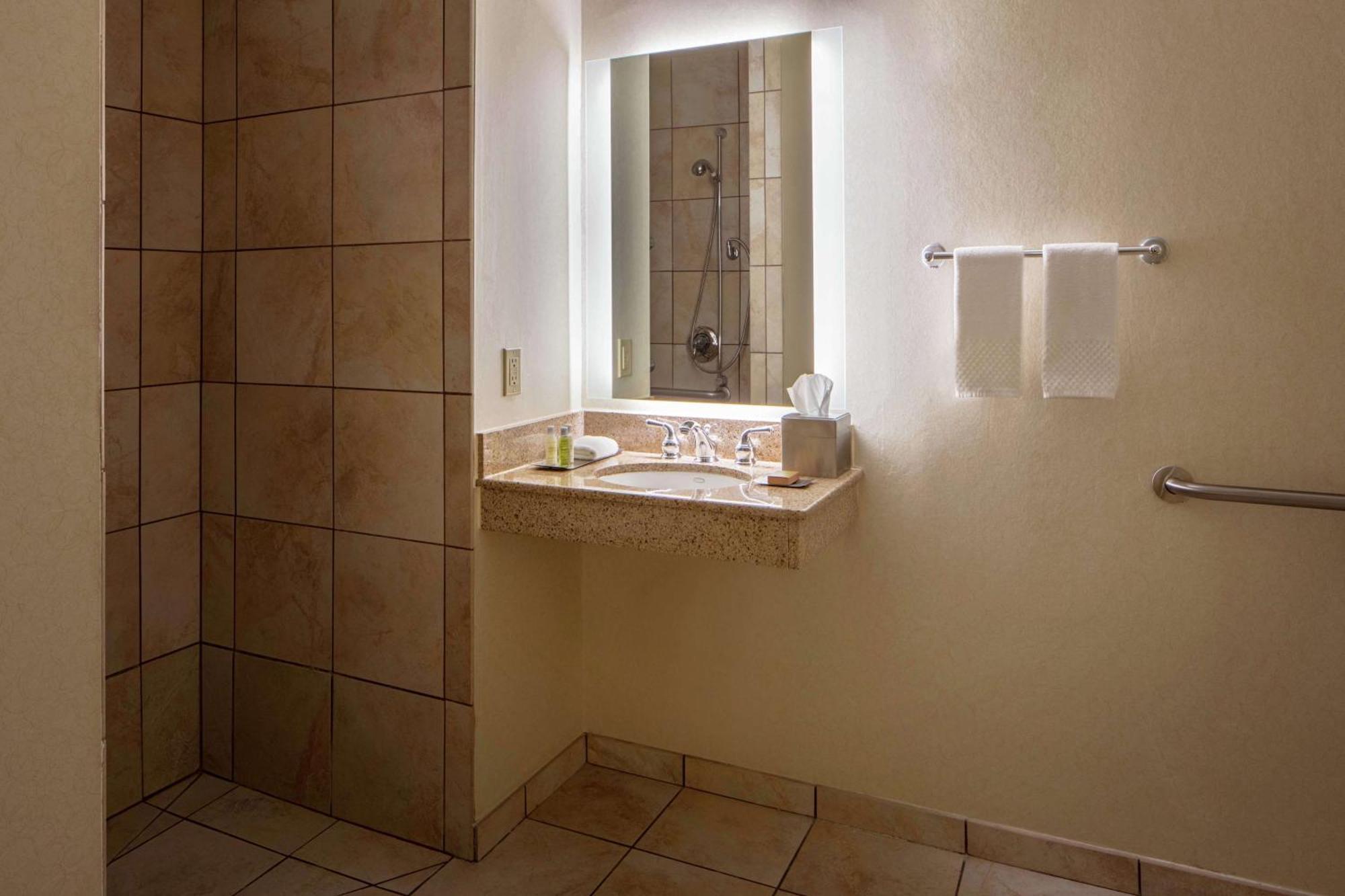 King Suite Disability Access Accessible Tub