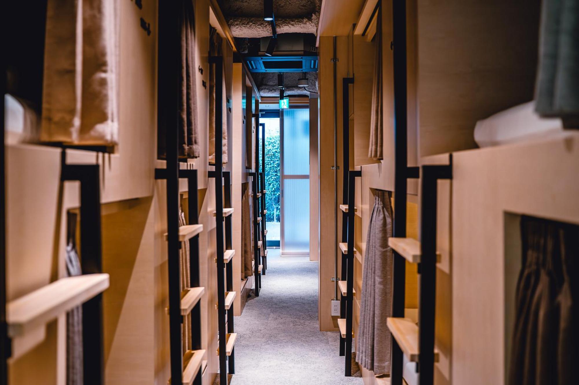 Bunk Bed Mixed Dormitory Room