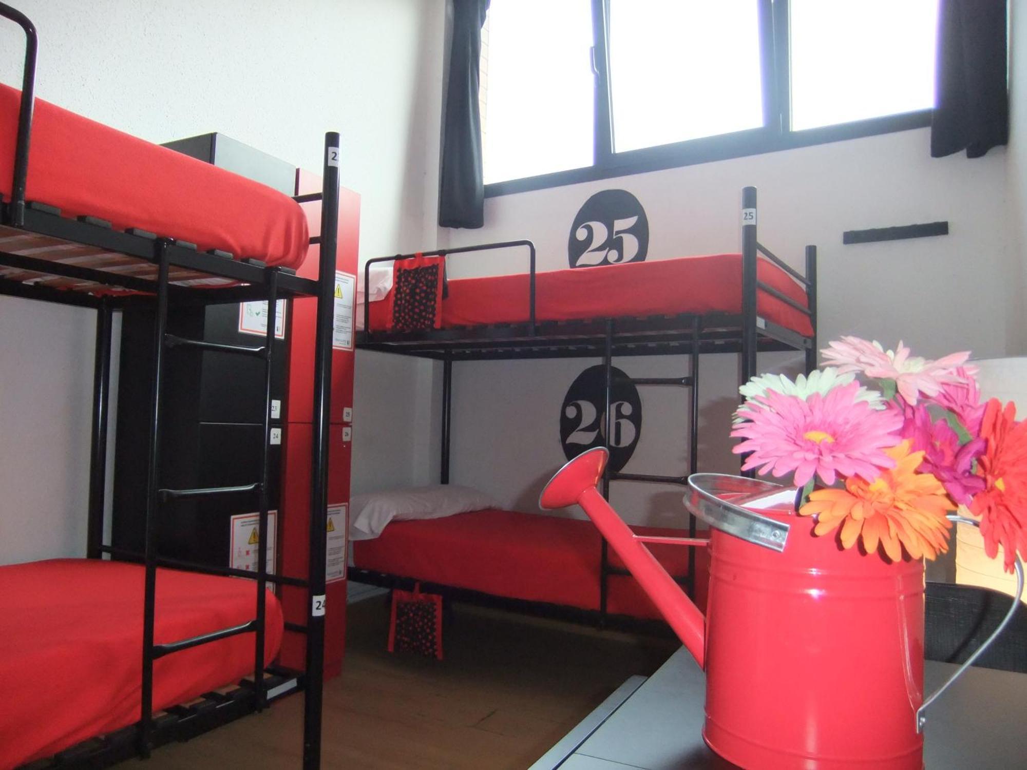 Bed 6-Bed Mixed Dormitory Room