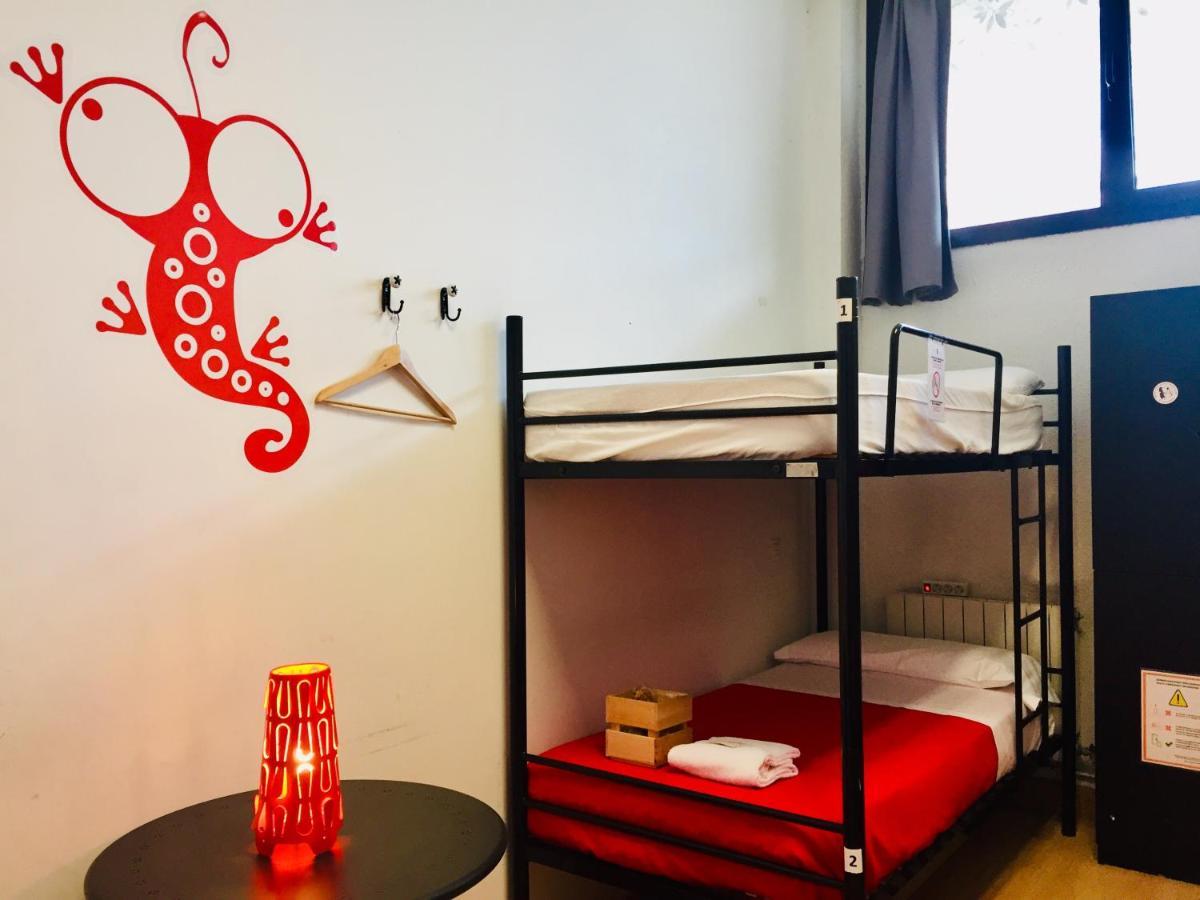 Single Bed 4-Bed Dormitory Room