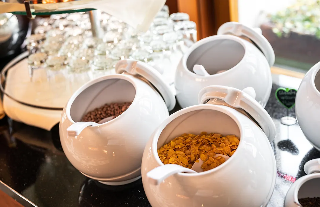 Gaia Hotel Basel - The Sustainable 4 Star Hotel-1