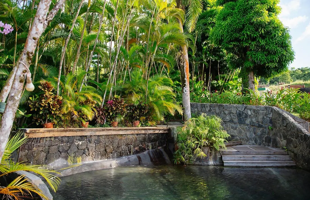 Hacienda Azucena, Rio Grande, El Yunque Rain Forest-1