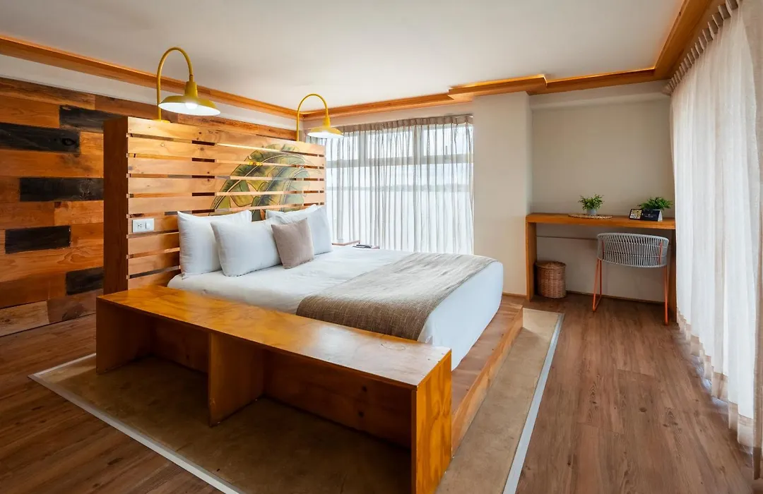 Mayan Monkey Cancun - Social Hostel (Adults Only)-1