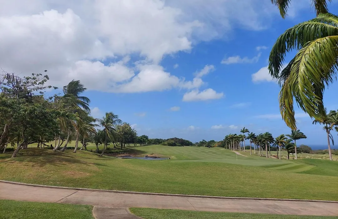 Royal Westmoreland - Villa Rosa By Island Villas-1