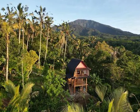 Bali Jungle Cabin-2