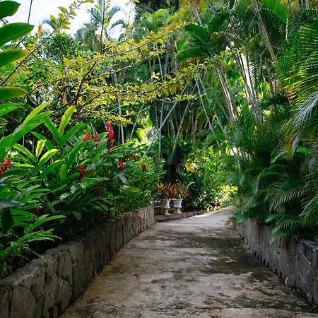 Hacienda Azucena, Rio Grande, El Yunque Rain Forest-3