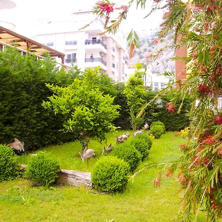 Flamingo Residence-2