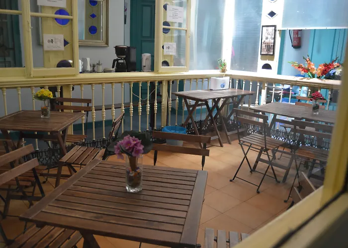 Hôtel accueillant les animaux: Pension Nuevo Pino