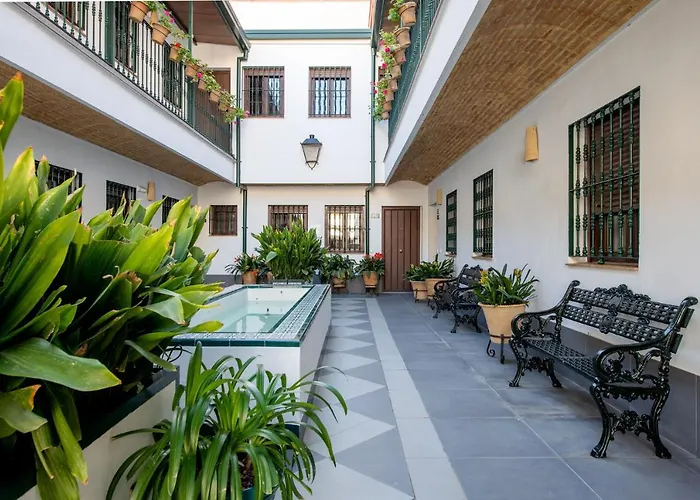 Trip to College Triana Boutique s By Hommyhome