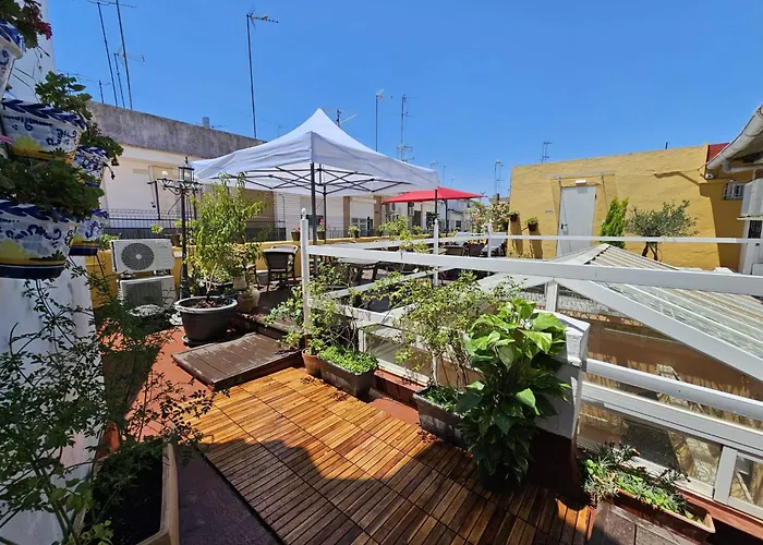 Hôtel accueillant les animaux: Zaida Boutique Hotel