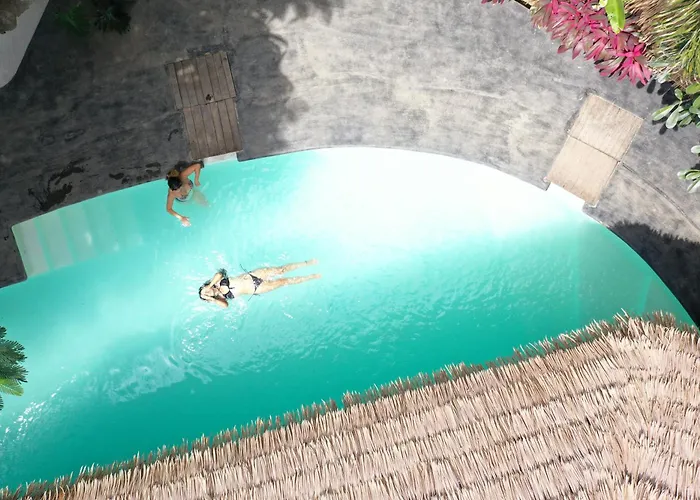 Hôtel accueillant les animaux: Panorama Boutique Hotel&Beach Club