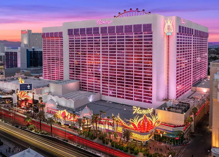 Luxury hotel only: Flamingo Las Vegas Hotel & Casino
