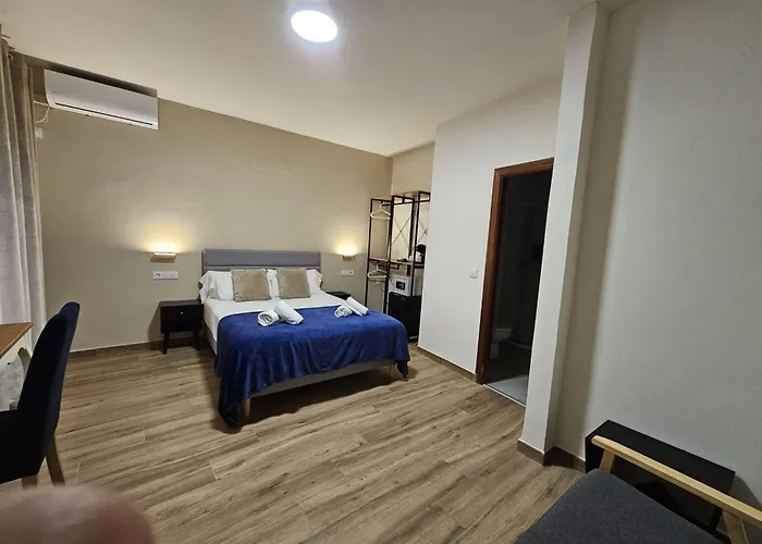 Hôtel accueillant les animaux: Zaida Boutique Hotel