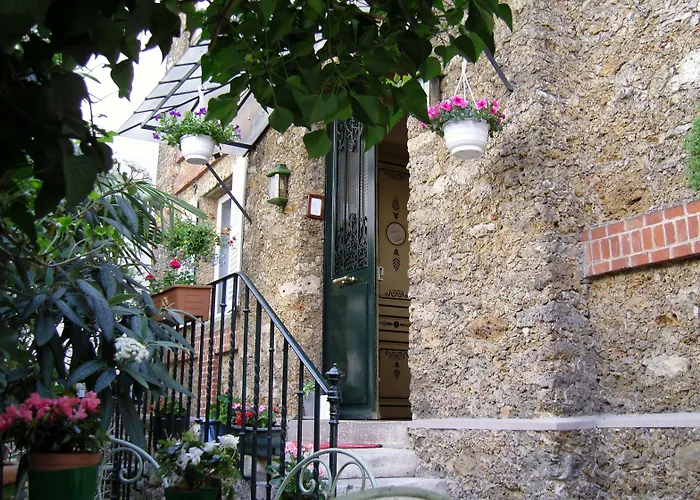 Windsor Home