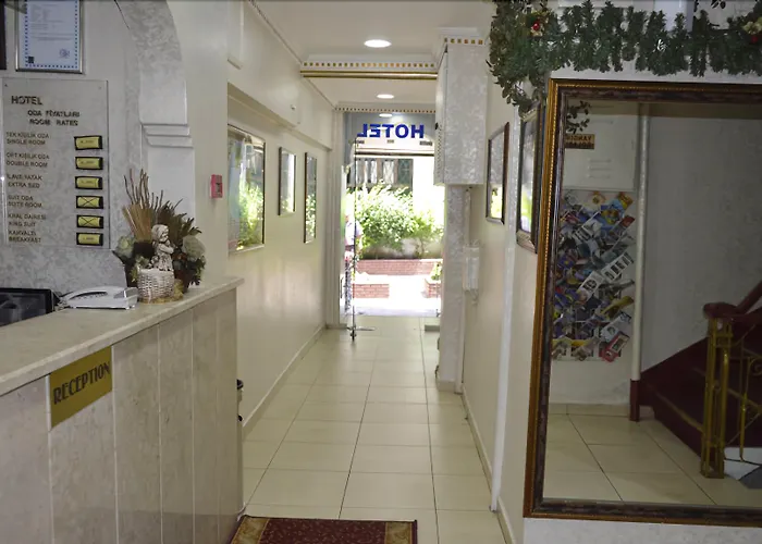 Hôtel avec vue: Ekol Hotel