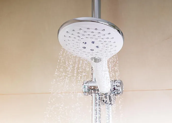 Hôtel accueillant les animaux: Nh Palermo