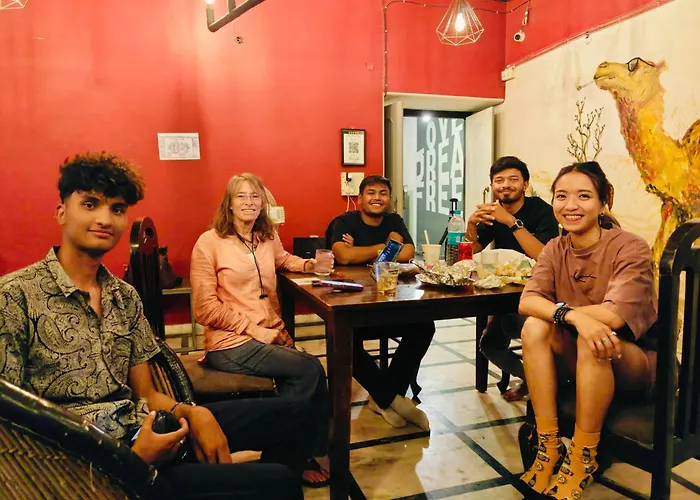 Pet Friendly hotel: Hoztel Jaipur