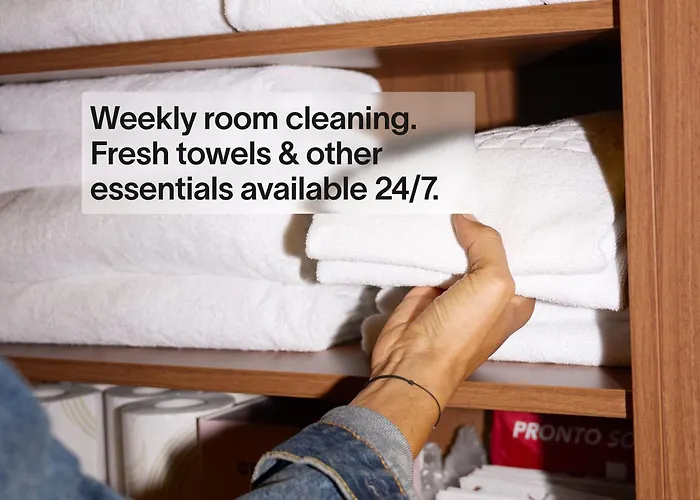 Pet Friendly hotel: Native Hyde Park