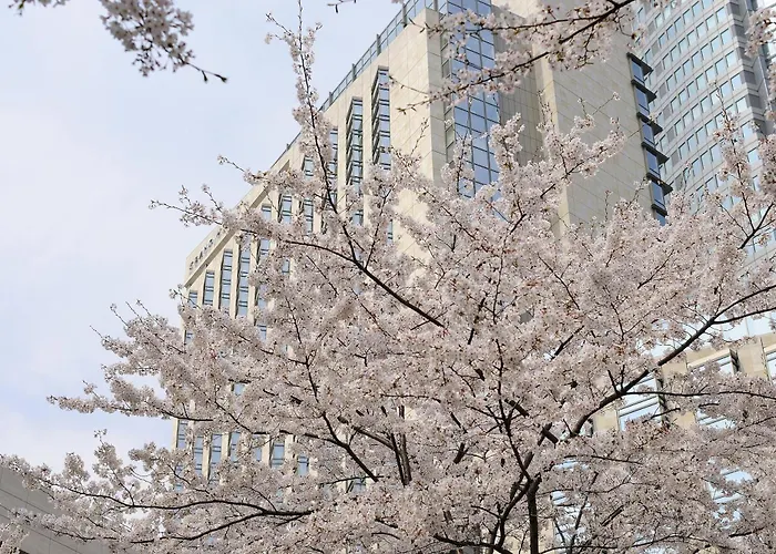 Hotel de luxo Apenas: Grand Hyatt Tokyo